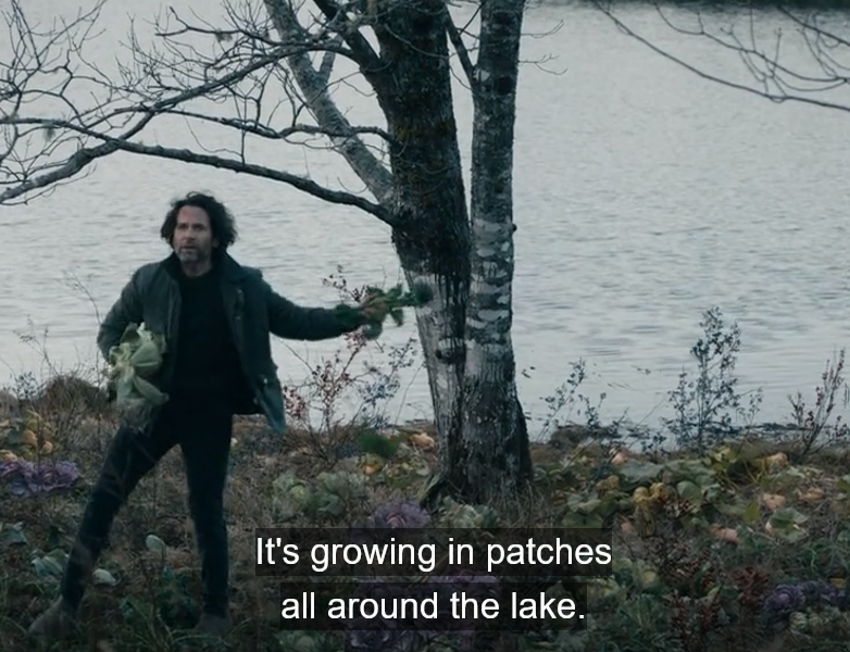 Jim finds food around the lake